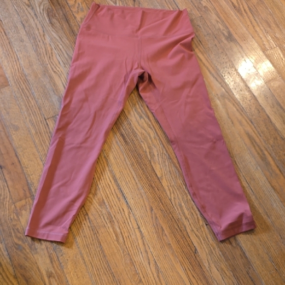 Hey Nuts Pants - Burnt Orange Hey Nuts High-Waist Leggings with Performance Fabric L